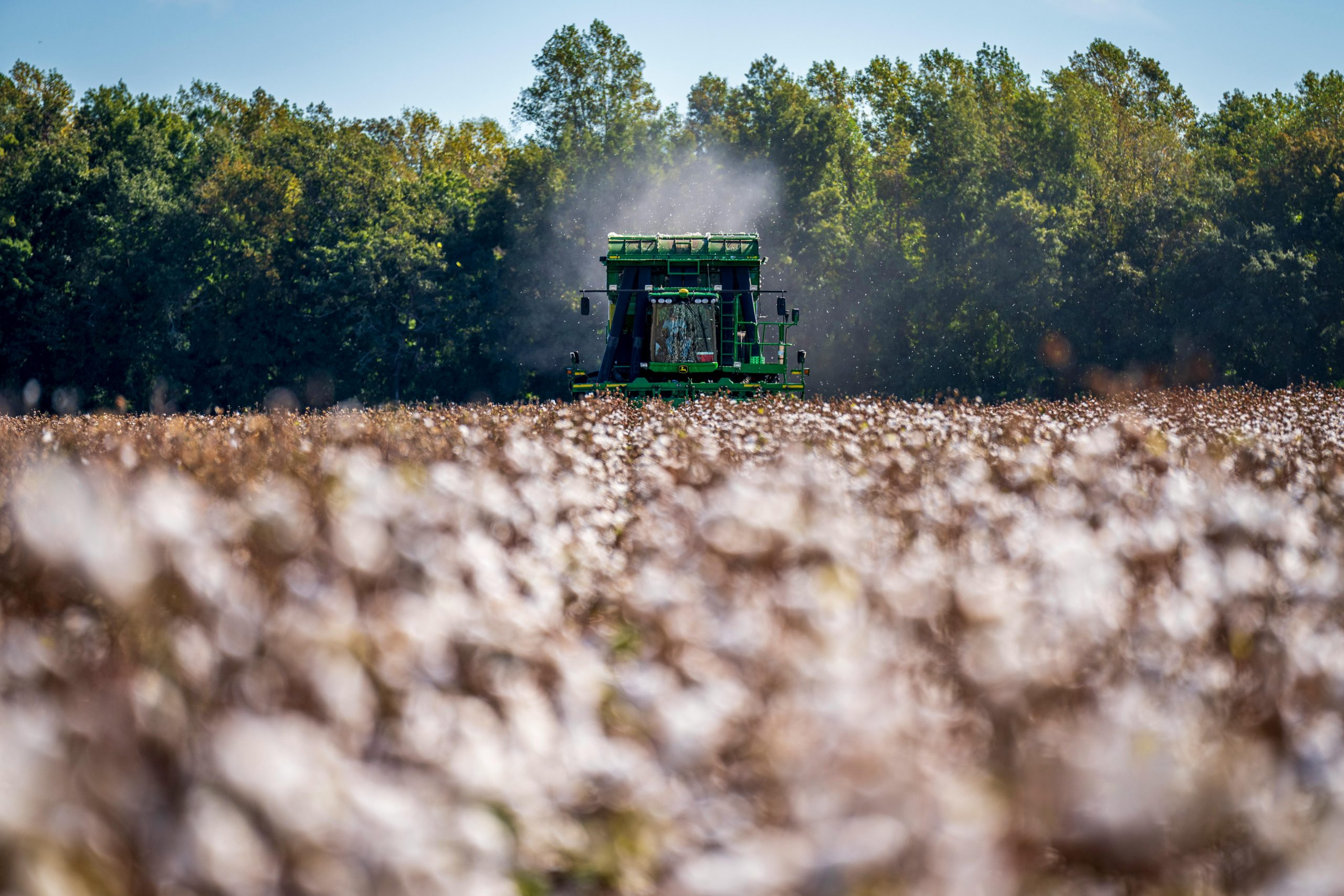 Exploring The Environmental Cost Of Synthetic Fiber Production