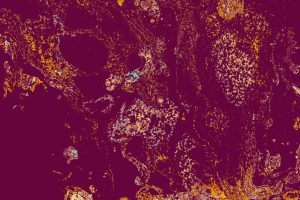 Essential Tips For Buying Fine Art For Your Home