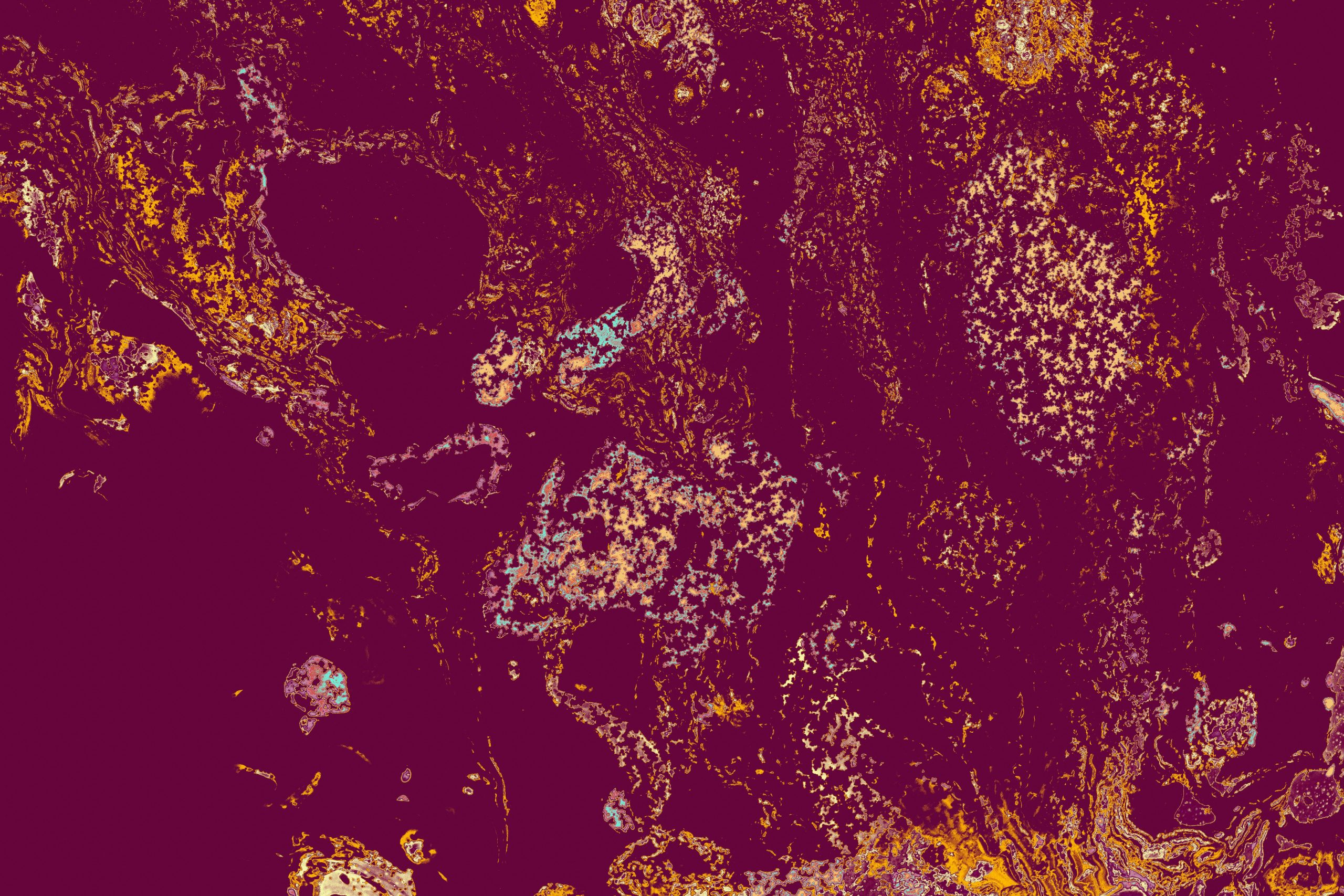 Essential Tips For Buying Fine Art For Your Home