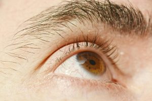 Developing an Eye for Detail