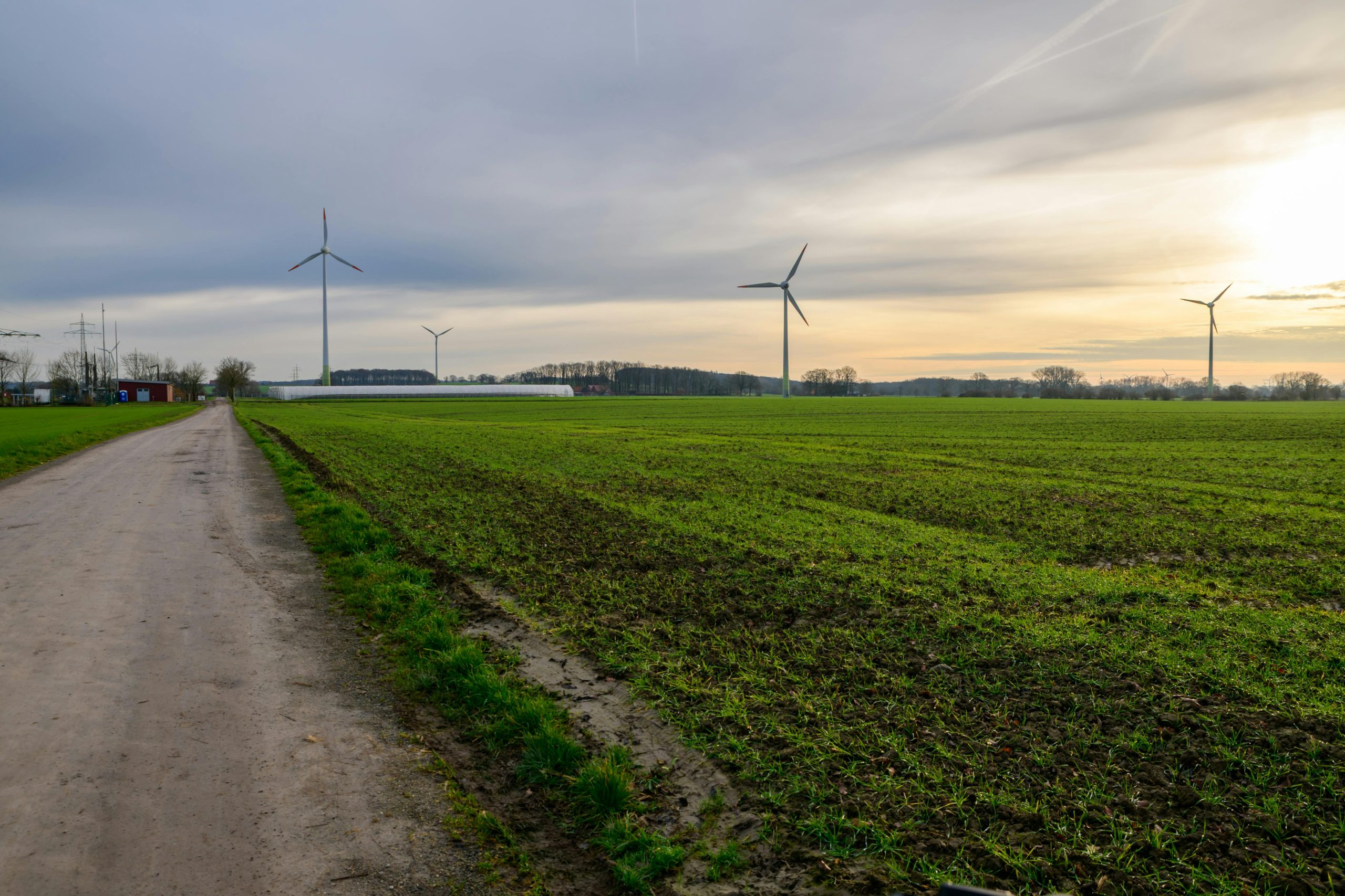 How To Prepare For A Career In Sustainable Energy