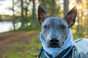 The Benefits Of Joining Retail Loyalty And Reward Programs