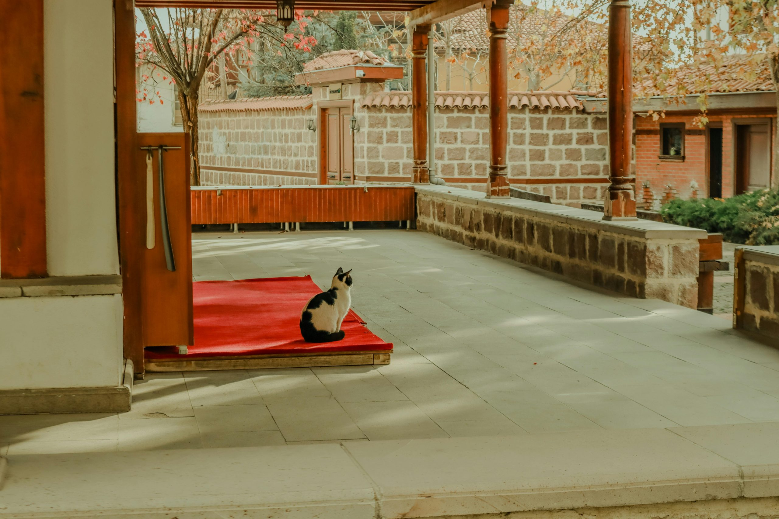 Why Curiosity Is The Secret Weapon For Career Longevity