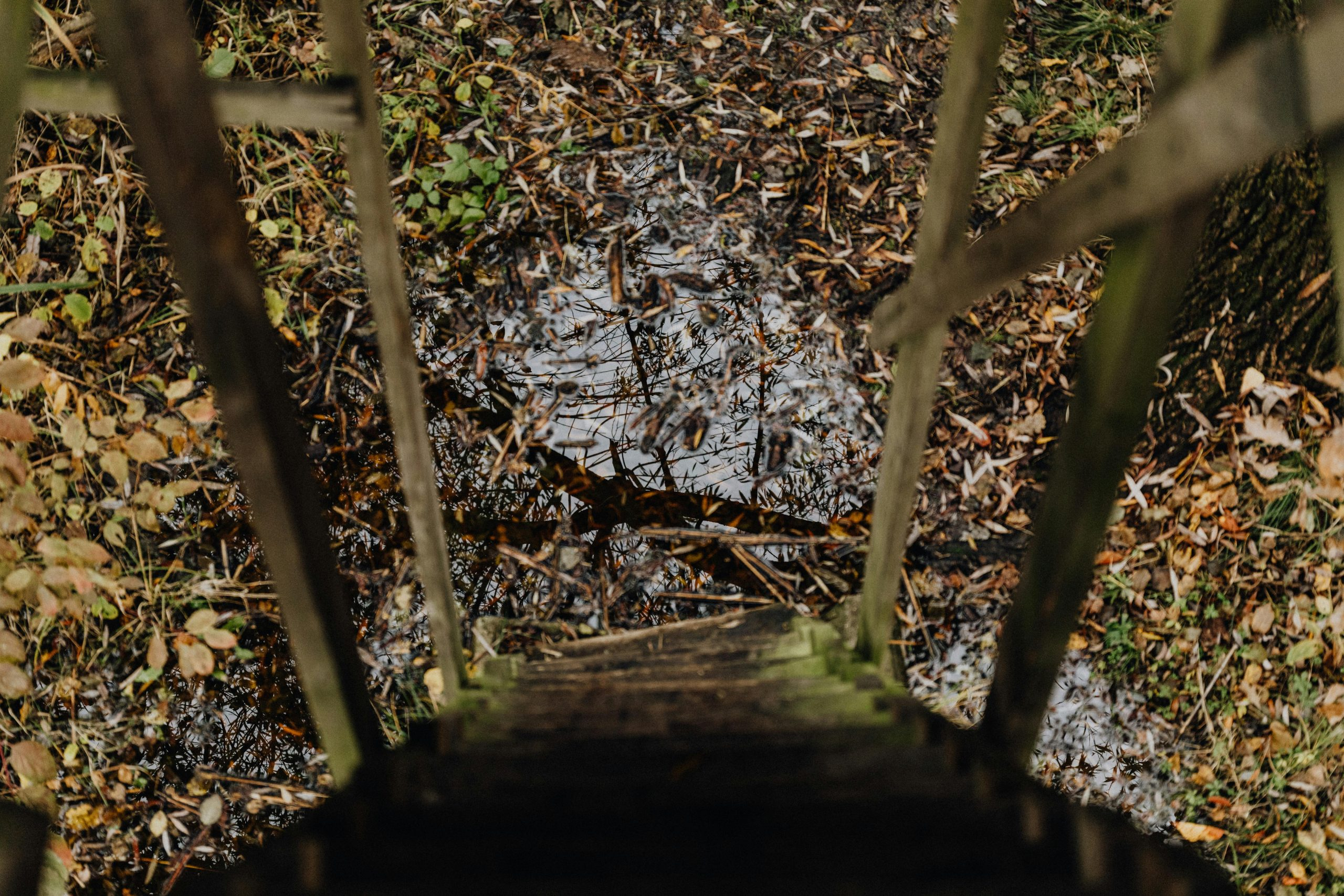 Why Authentic Wood Flooring Increases The Resale Value Significantly